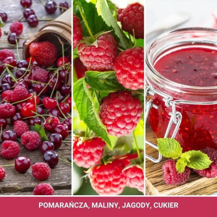 red-raspberry-swieca-duza (3).jpg