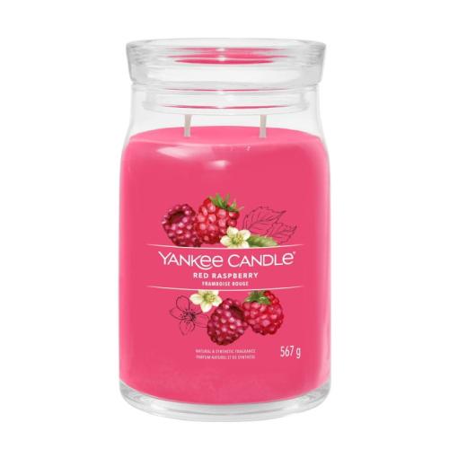 red-raspberry-swieca-duza.jpg