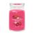 red-raspberry-swieca-duza.jpg