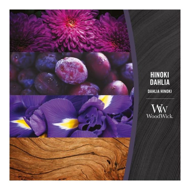 2c342991dc325b764e09bebb172fa775