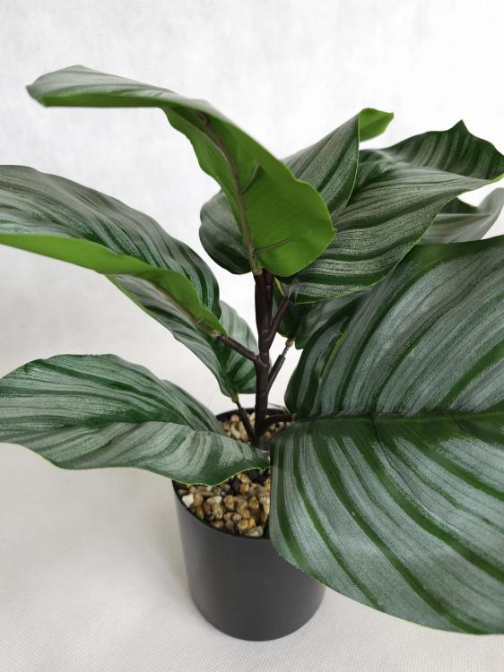 4eca14a56d57e8c78797dcbe94b5abb0