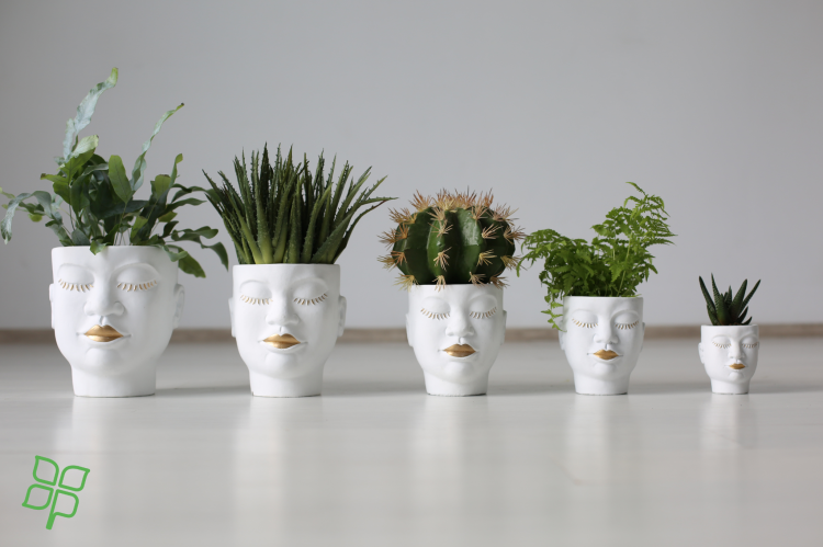 6e0b7d36520b1cd51a13b6dcefdb59bd