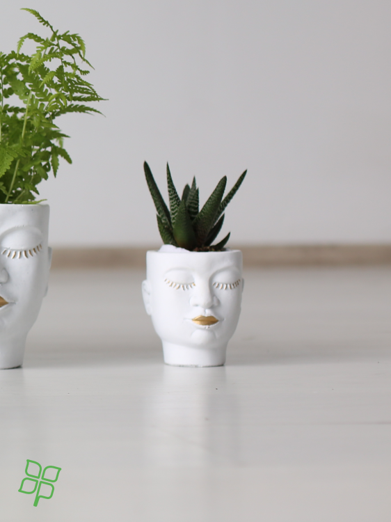 554df29d4f75a19ea4e678805e78846a