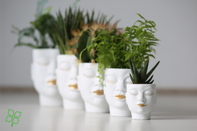 3849ef6af8b6b16ff5a6c82922ce6958