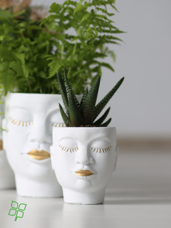 bd11661fe297aba2d2c7a205600bfee7