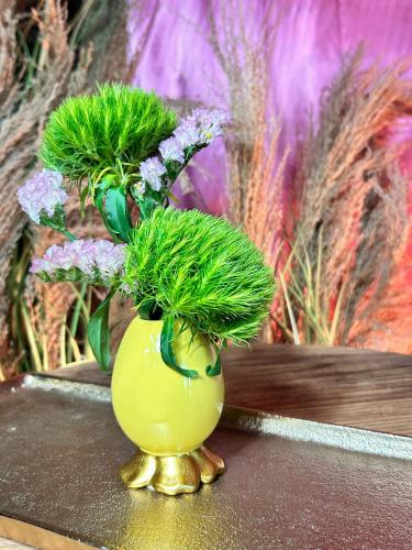 ca1aa403d7e880a32ae44db93bf893e8