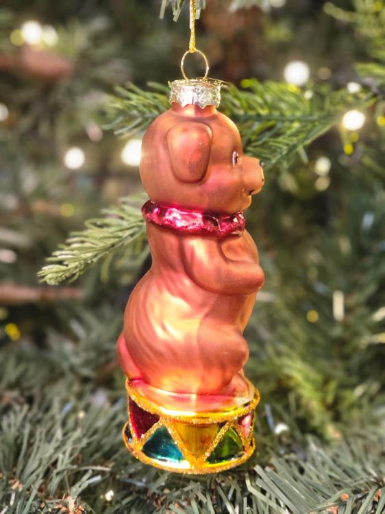 163f13017a9deaded2dae16455d2f5c2