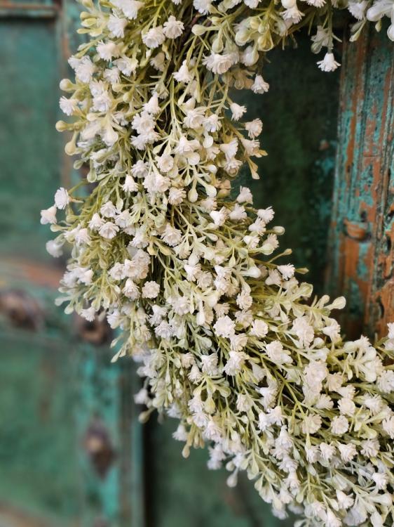 ed469fe81c0d5771cd472a8d8115ea9e