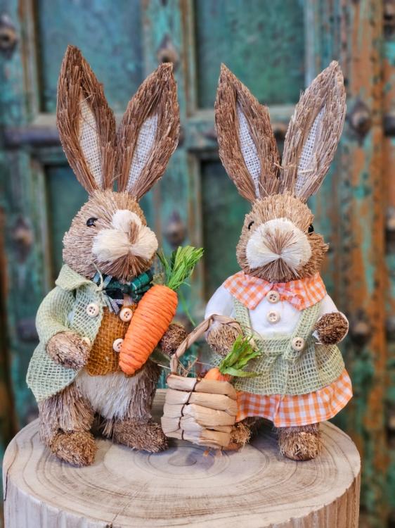 d8de65dbc5ccb42092ebcc64458581b0