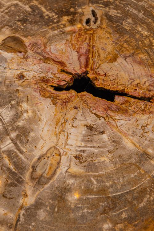 734390 734391-13.jpg