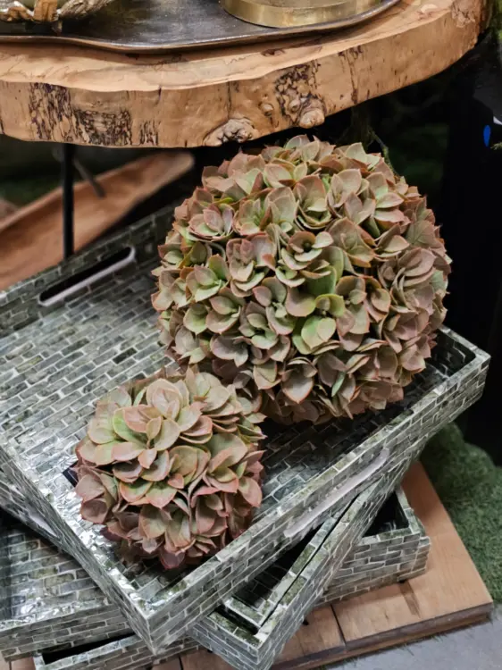 dbfa550d10a3cf5a43f6855bfd725ac1