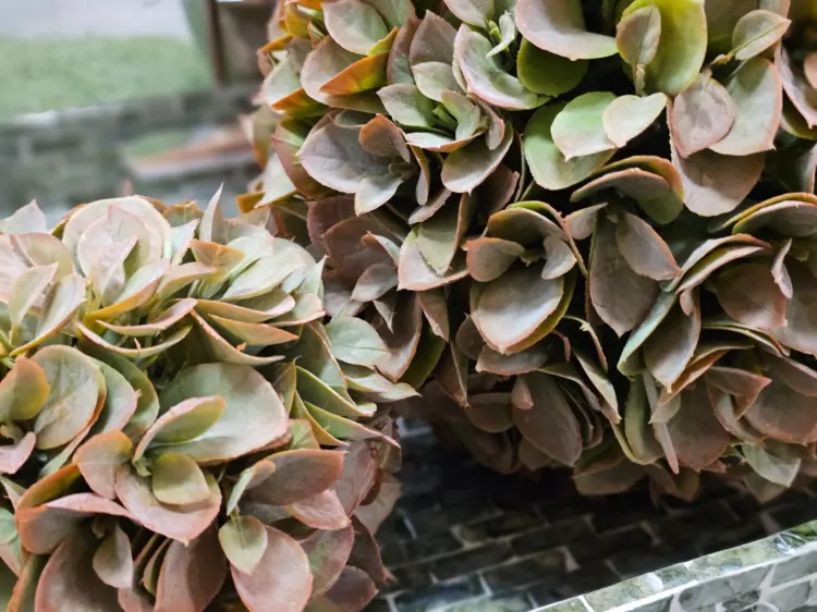 9b7ee724281f3679c75db9d2a80bc4fe