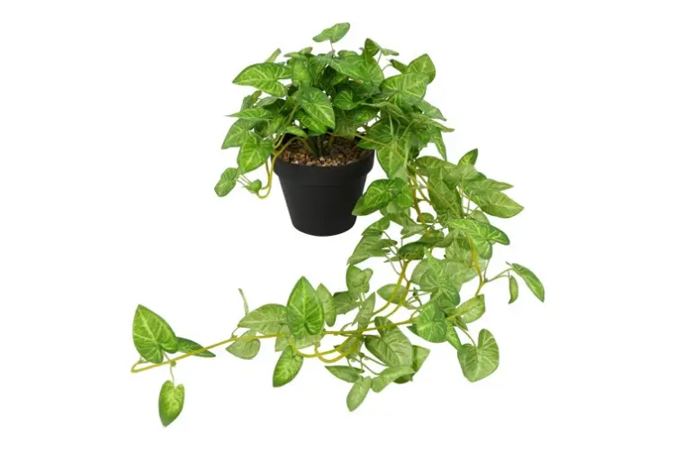 824901fa9ffb3ebca1f7d2d3dd52b595