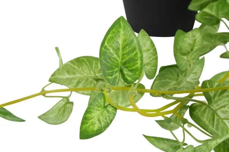 ae6a241d93cf1e2cca2ead5407a13255