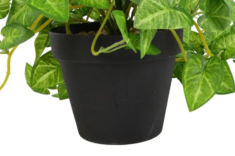 867ba3ffb735e1a3bc6ca480cb4a48c3