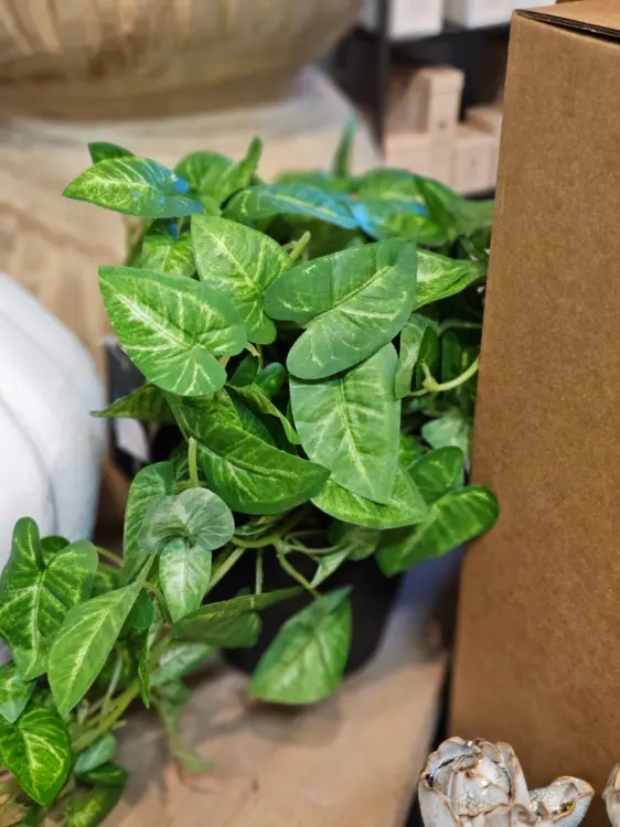 38862d71daa60738144cafcf2587ad04