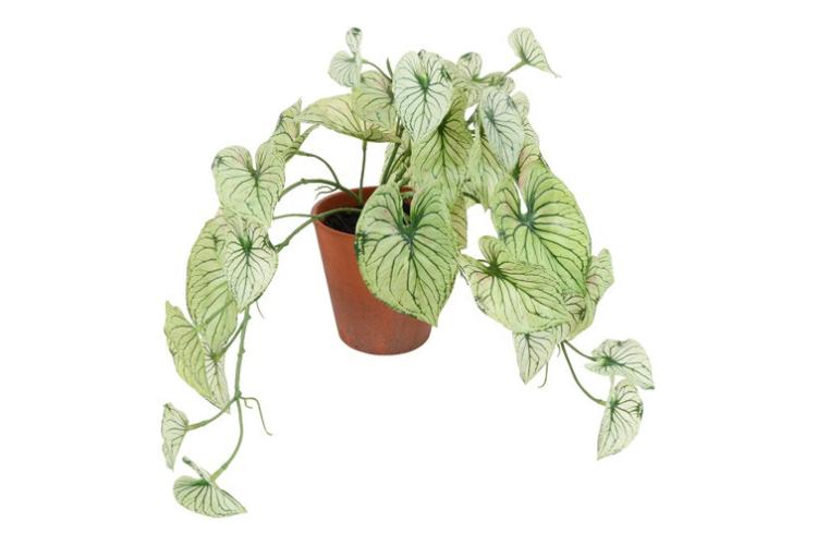 ed322c3f403eed062dedda2c21355b02