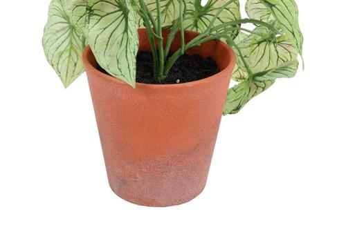 c94f099f007d9e538da553cd231c9230