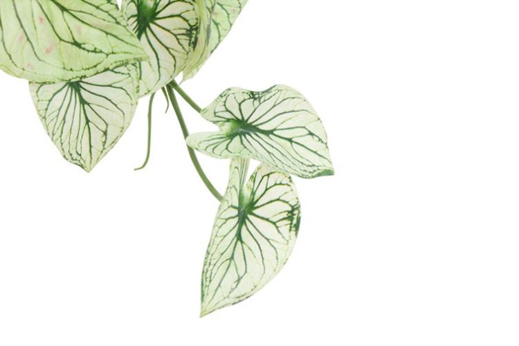 7df1757bee5e19e8415a75c0a005700b