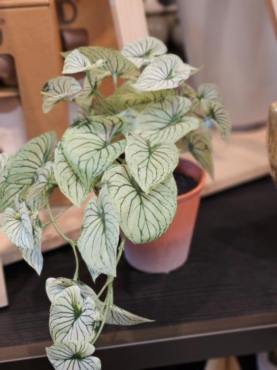 59bb88644fd713321d115348d94ac258