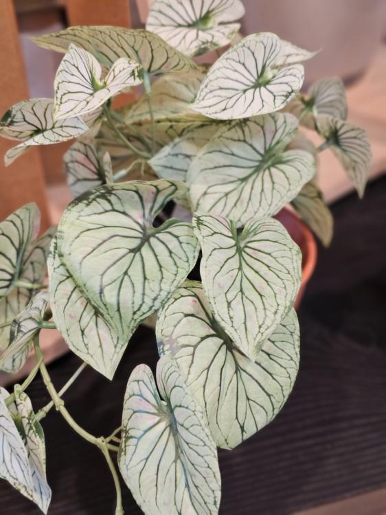 5185941576cf639d48ab97593640c145