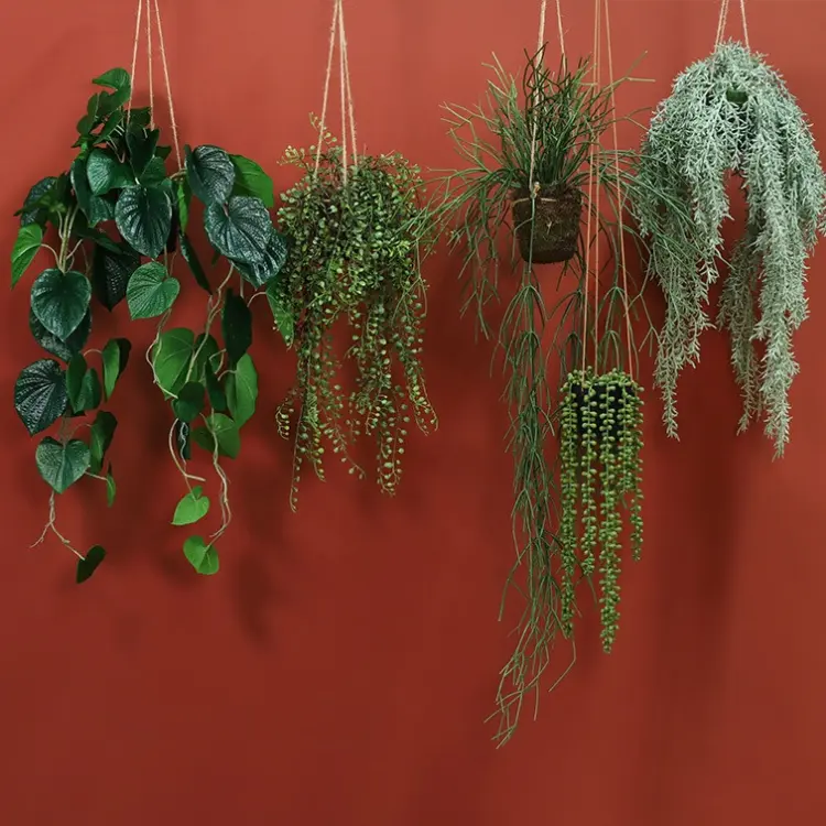 9f1e85f12c1cc6f9bd5d56fb3124b104