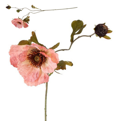 b49ead2957caabe2aabd4fc6d706cc12