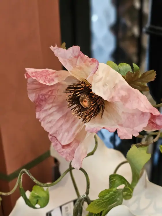 f0c536f0d10d0e8633a5f4880886953c