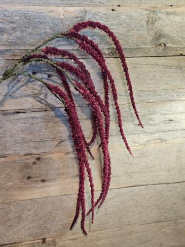 1996eb31fd90df890cc0ba96948b3098