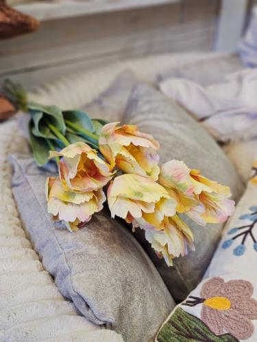 0d5218e7a8aea053d46a2130ba23f3d2