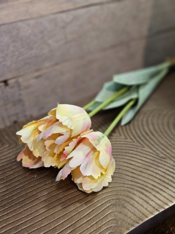 3d2dbb1f6ad2f81bef6e4eeb4d894cb9