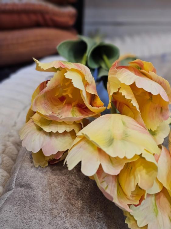 3efbc8c070989cdcd5f9c2d69a5d473e