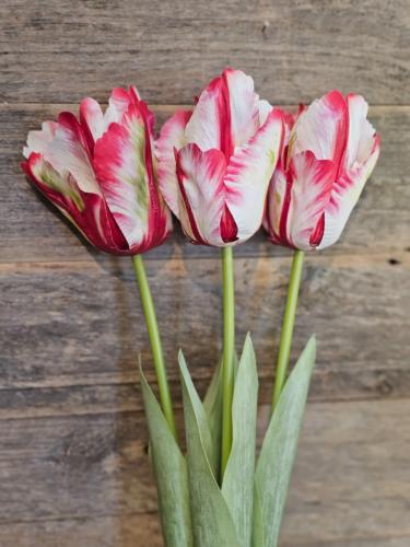 db062f46b30264126cccc138829e7fd8