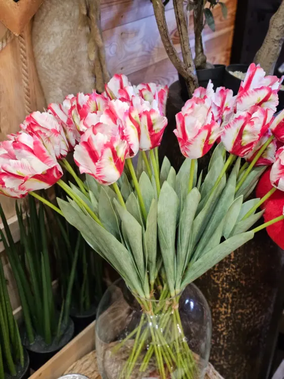 6ff98496a103721f73acc90bd54b743a