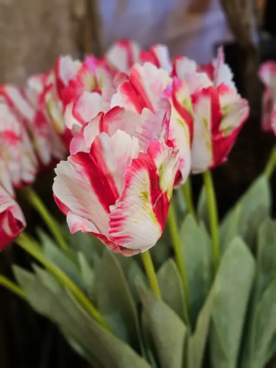 2b798569e38b7d46f76a00474913aafd