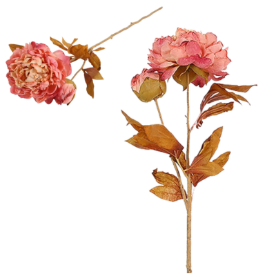 02464e1091aed2c2b8a8f9a0976d9166