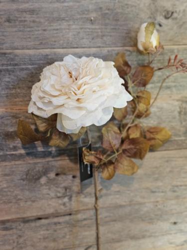 fc418aa16fb2a4091fe037c01cf54a50