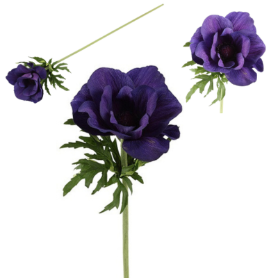 a4b6f39cb64d23129262514cebc6fbef