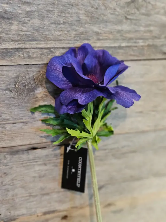 512b72606bc11489c0065fee8b83481c