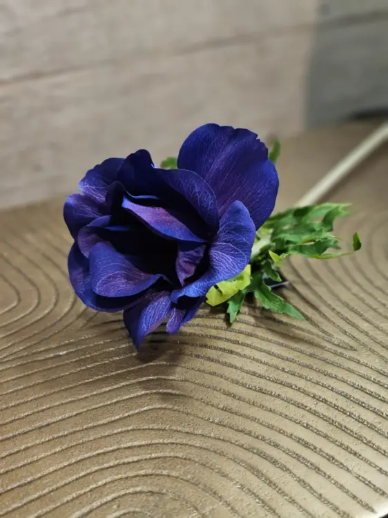 81520ec9a9b7a5ad50607b807dc80402