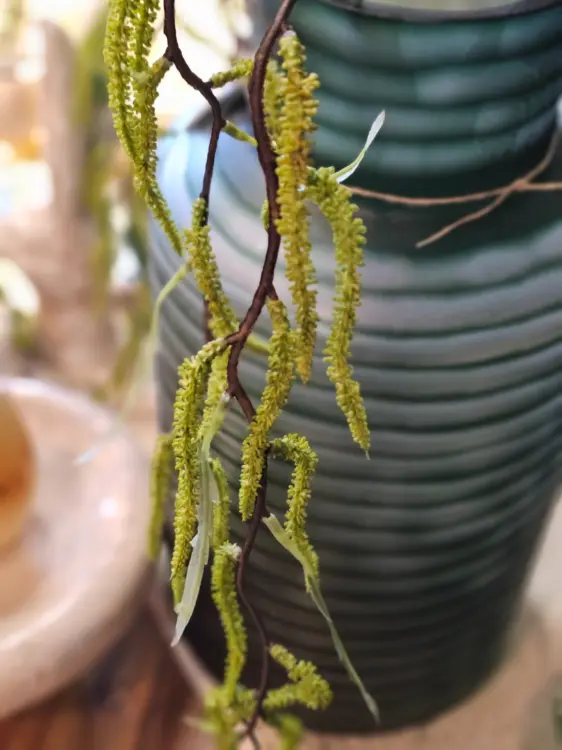 f4ca33088e6df5f5dd4486af4f526615