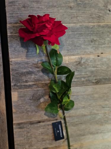 0ba5044891c1b7a388149d37c5603fa9