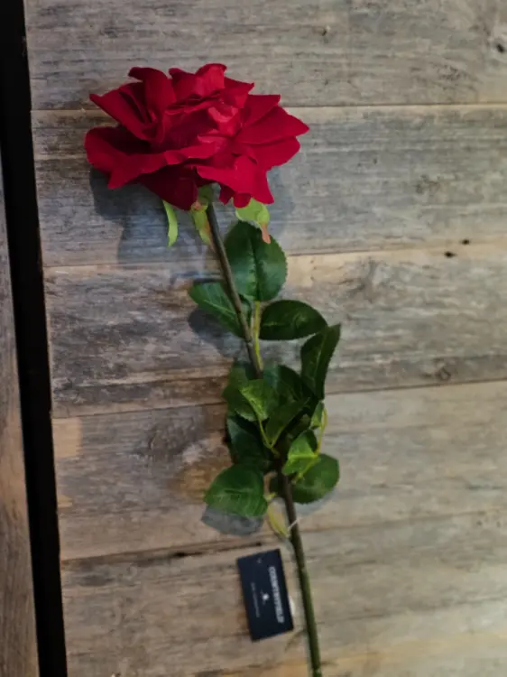 0ba5044891c1b7a388149d37c5603fa9