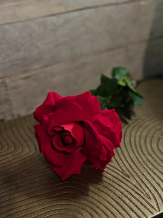 a49d9adb19f72e09f3635796345f6a97