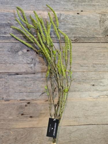 a0f2f728650e11d2548391030c3b815a