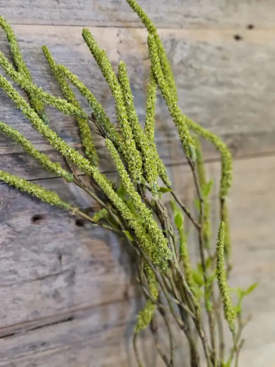 0aa82dda3a8a5d72c46c3a6b7f5640fc