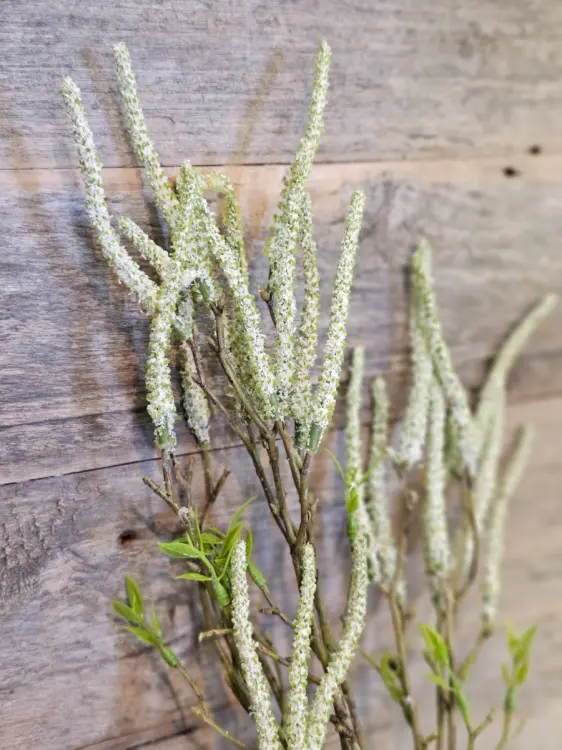 d19a42372472d81dce7da9a6ad50d29f