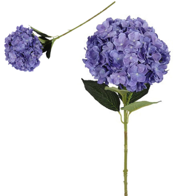 4908595fb5833a40289c7d6b999c6e87