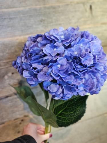 f11e18662a93f28c5b3513be7bcb3dad