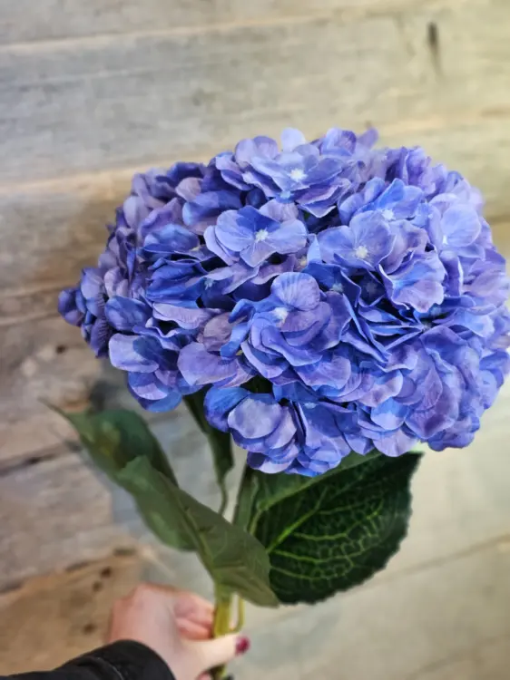 f11e18662a93f28c5b3513be7bcb3dad